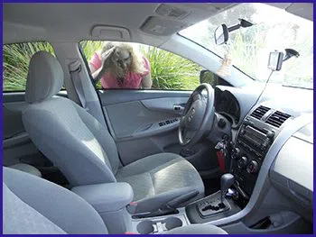 Manton RI Locksmith Store Manton, RI 401-315-4993